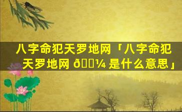 八字命犯天罗地网「八字命犯天罗地网 🐼 是什么意思」